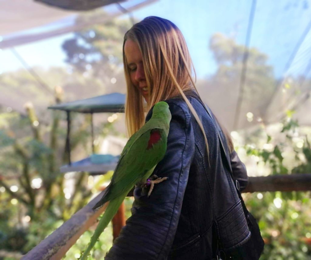 parrot climbing up girls jacket