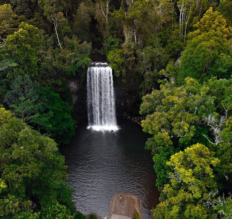 Millaa Millaa Falls Cairns Drone Sarah Latham