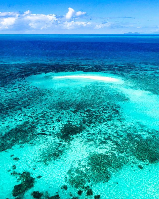 Vlasoff Cay Great Barrier Reef Cairns