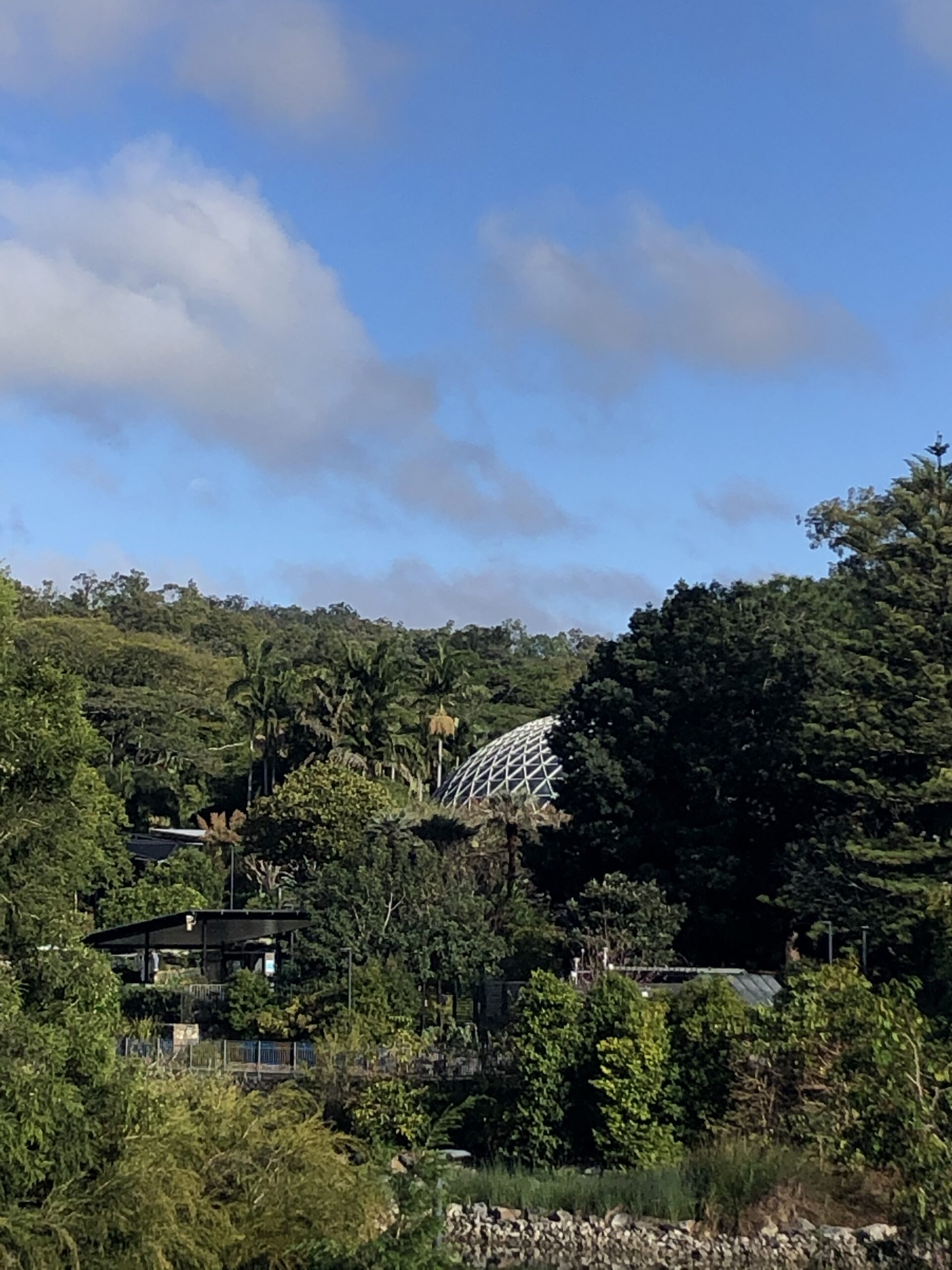 Brisbane Botanic Gardens Mt Coottha Sarah Latham