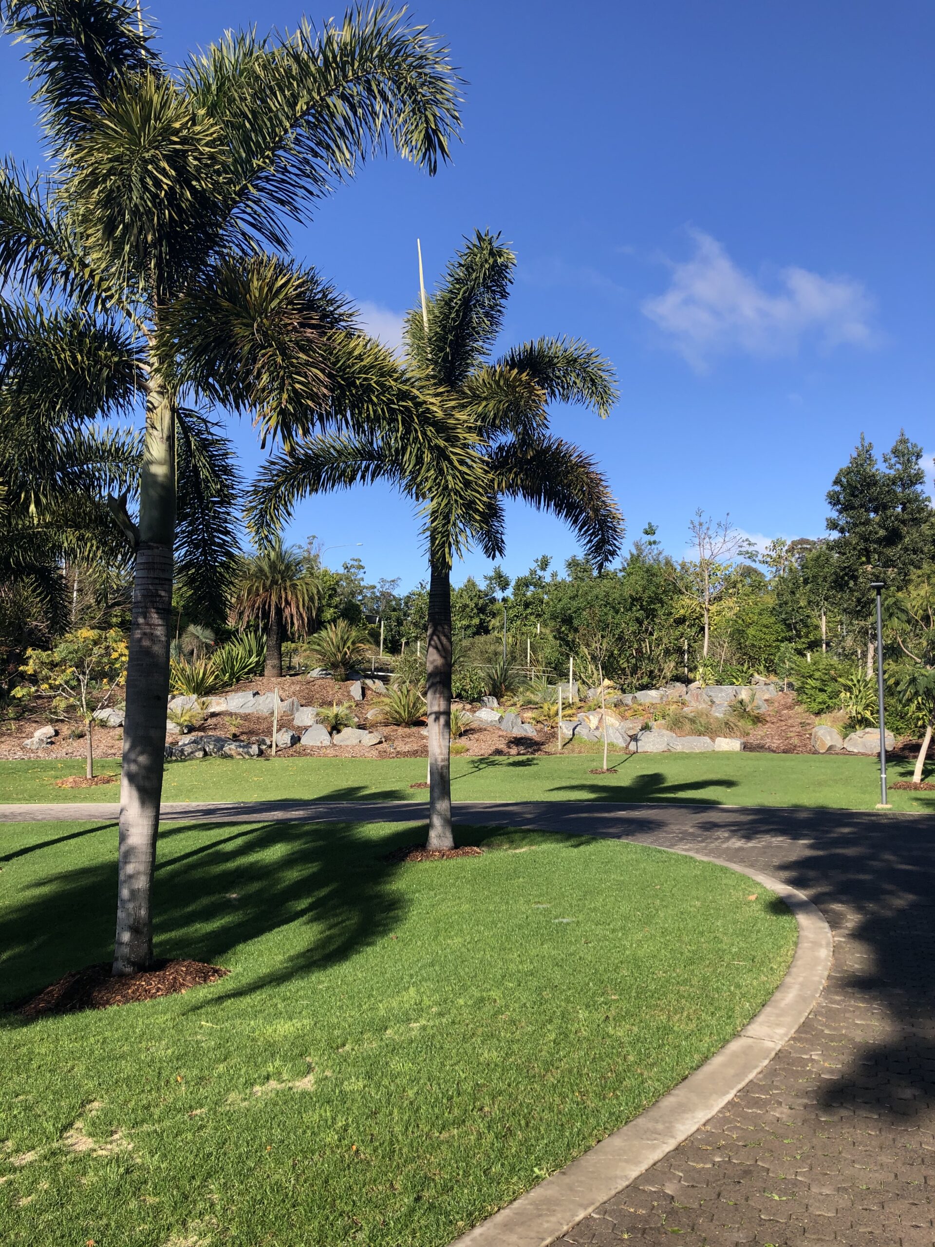 Brisbane Botanic Gardens Mt Coottha