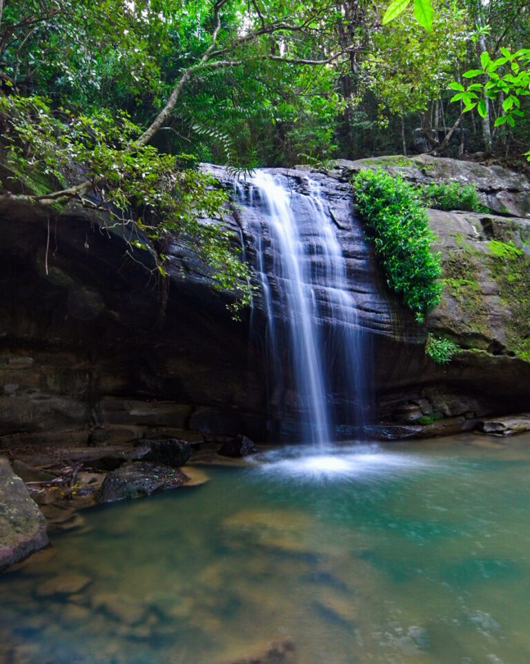How to get to Buderim (Serenity) Falls Sarah Adventuring Travel Blog