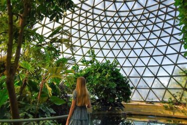 Mt Coottha Brisbane Botanic Gardens Tropical Dome Sarah Latham
