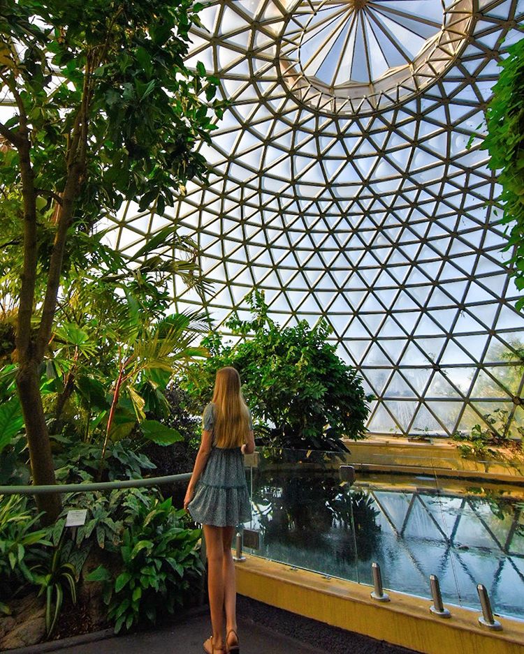Mt Coottha Brisbane Botanic Gardens Tropical Dome Sarah Latham