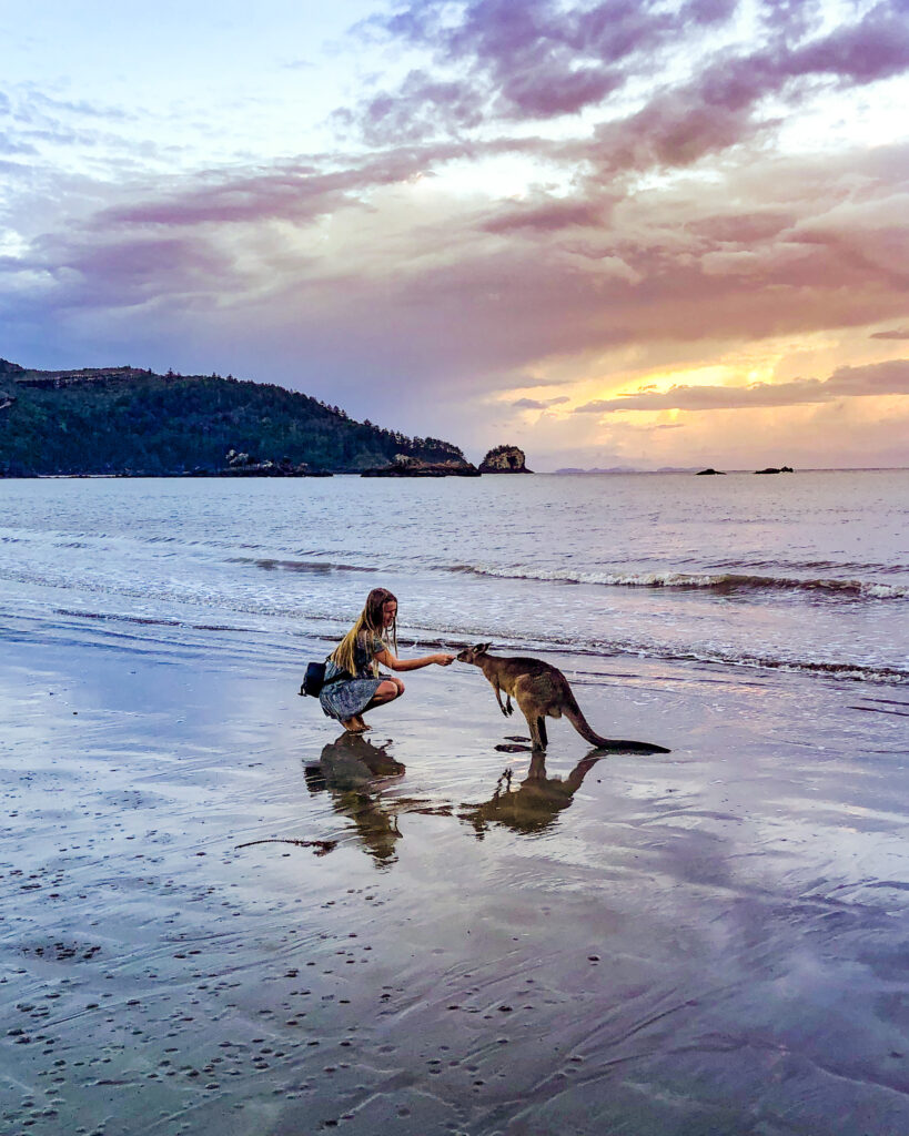 Girl and kangaroo at beach at sunrise at Cape Hillsborough