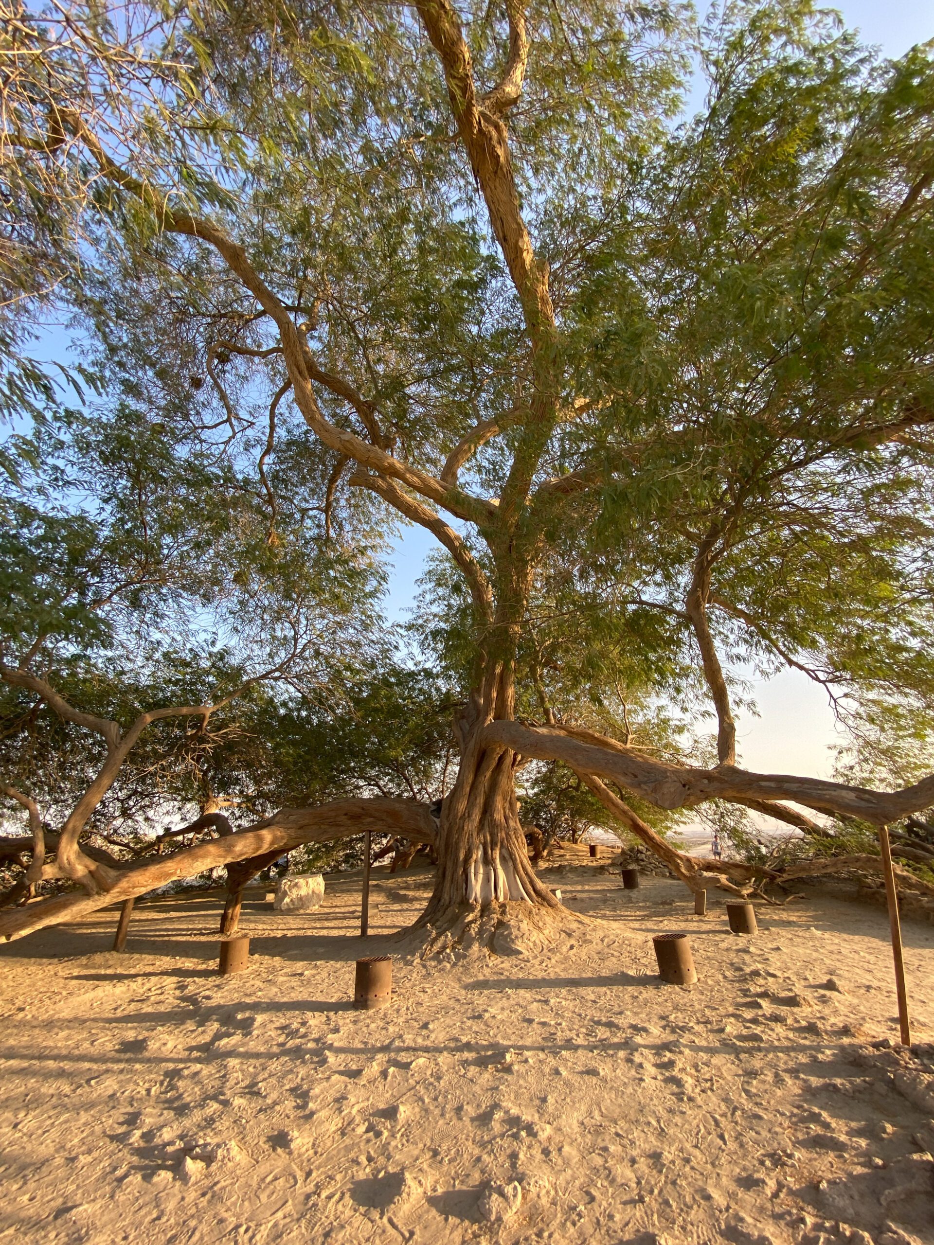 The Best Things To Do In Bahrain Sarah Adventuring Travel Blog The Best Things To Do In Bahrain Sarah Adventuring Travel Blog