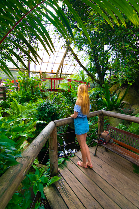 Girl in blue shirt and skirt standing on a boardwalk looking out over plants in the Australian Butterfly Sanctuary