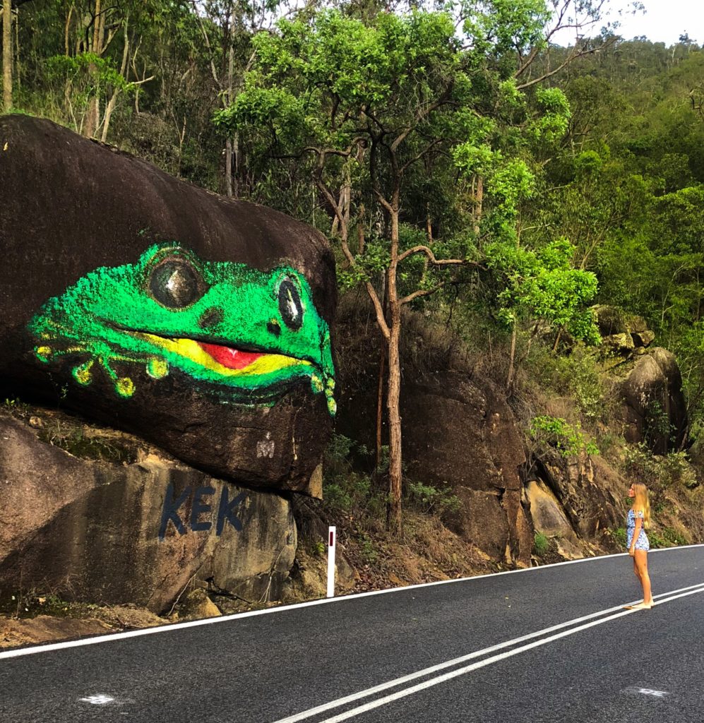 Frog on Gillies Highway in Cairns 