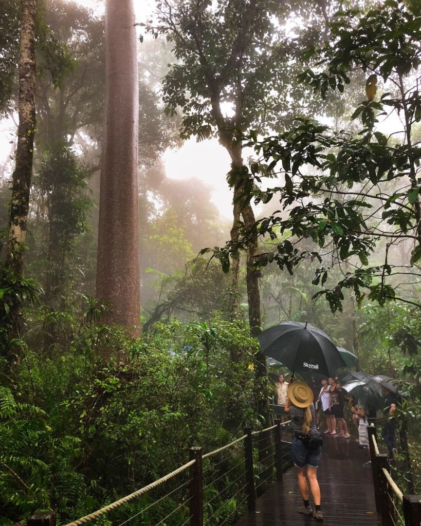 Ranger guided tour at Skyrail Rainforest Cableway Red Peak in wet weather