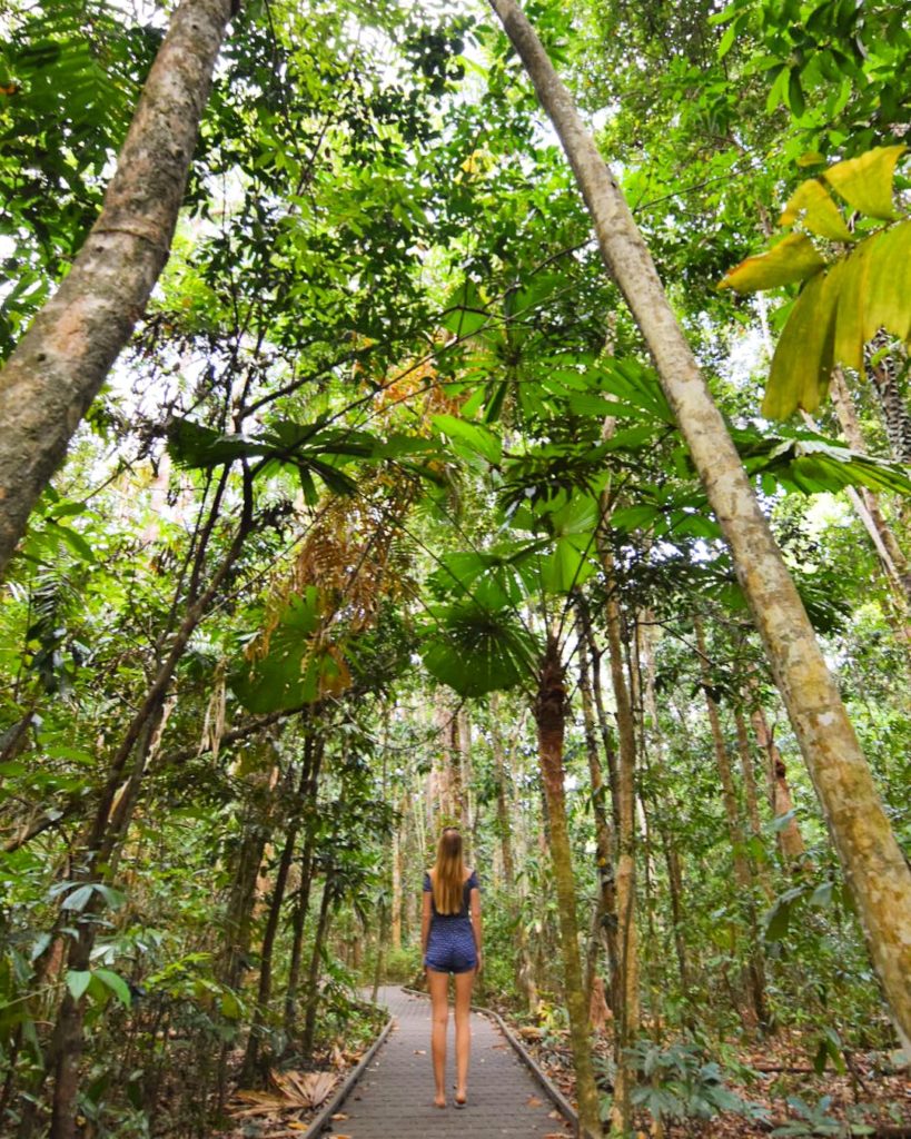 Girl walking through rainforest boardwalk 