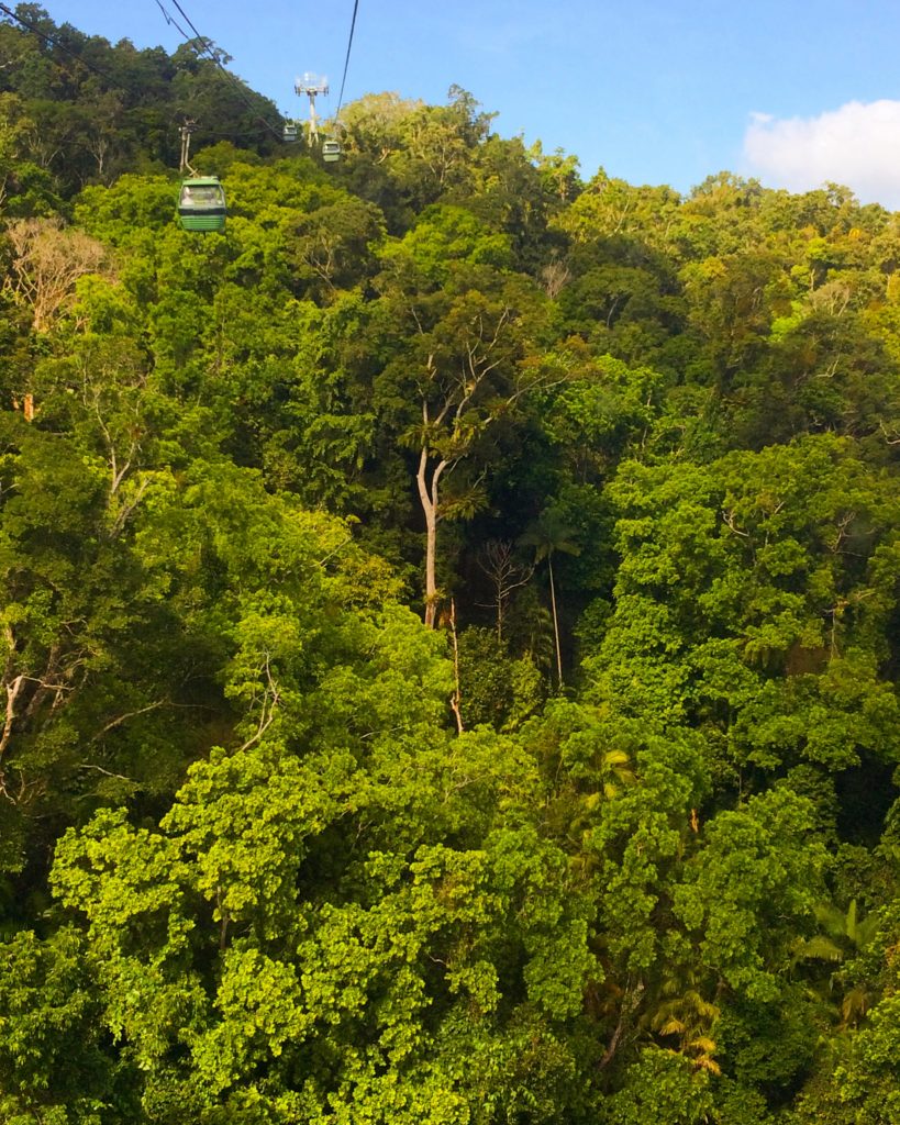 Skyrail Rainforest Cableway gondola journeying across tall tree canopy in Cairns Australia