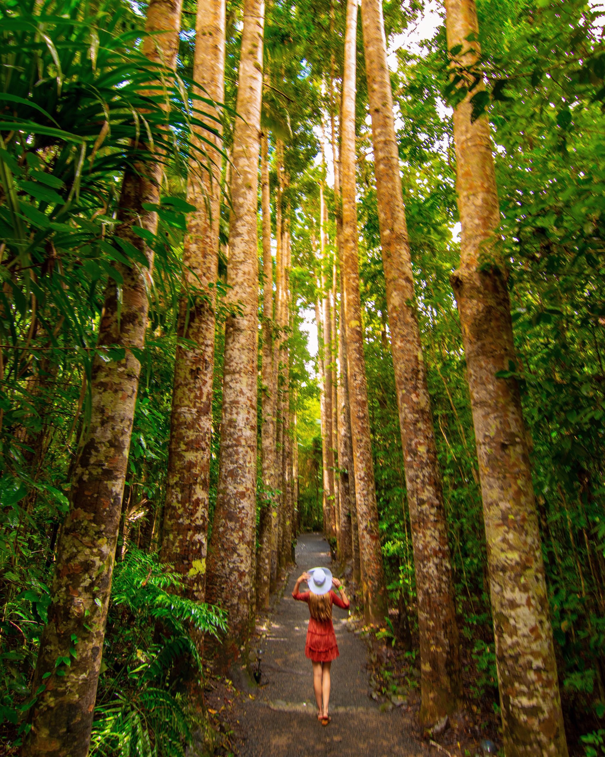 Sarah Latham standing between Kauri Pines at Paronella Park, Cairns Australia