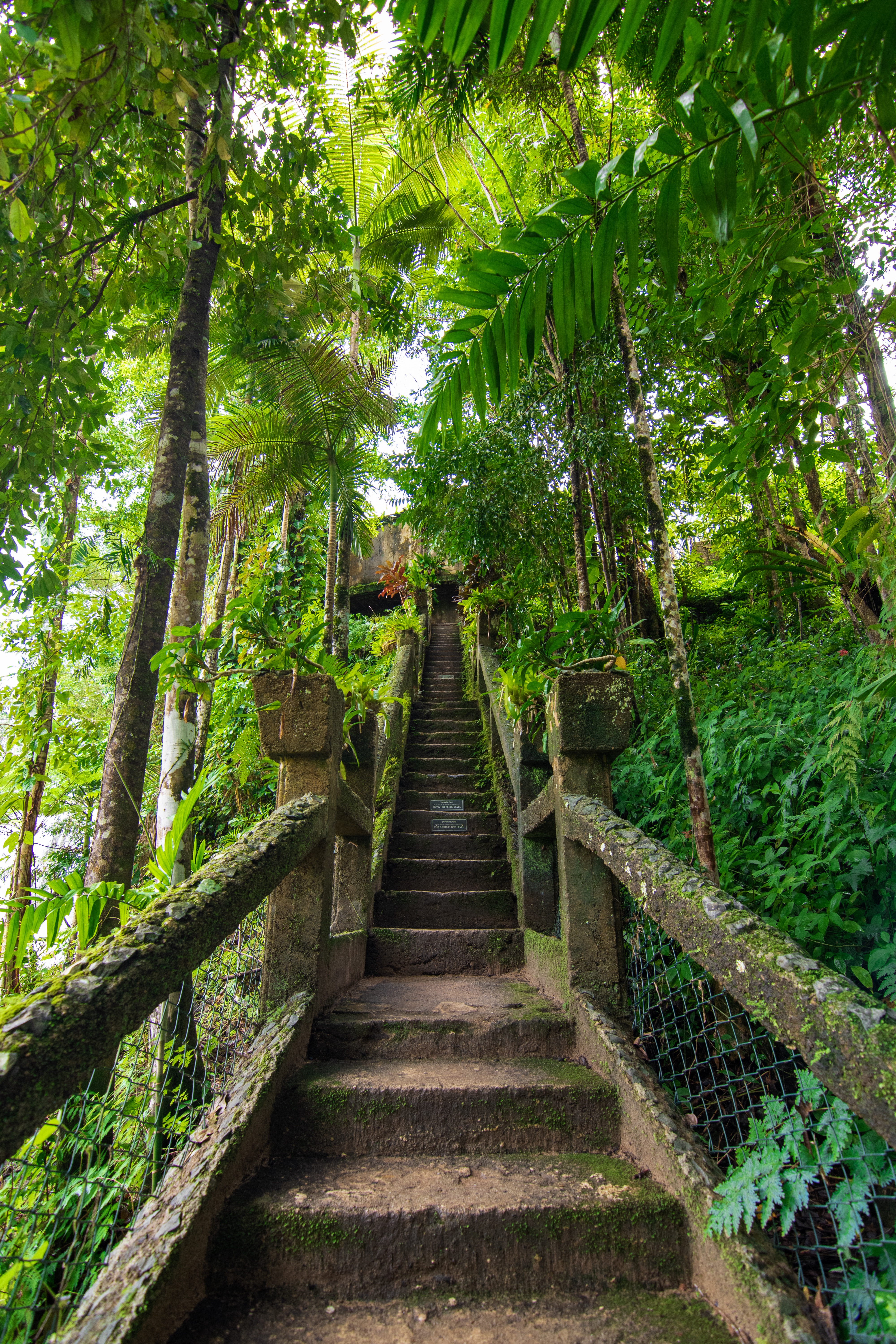 The Grand Staircase at Paronella Park in the rainforest