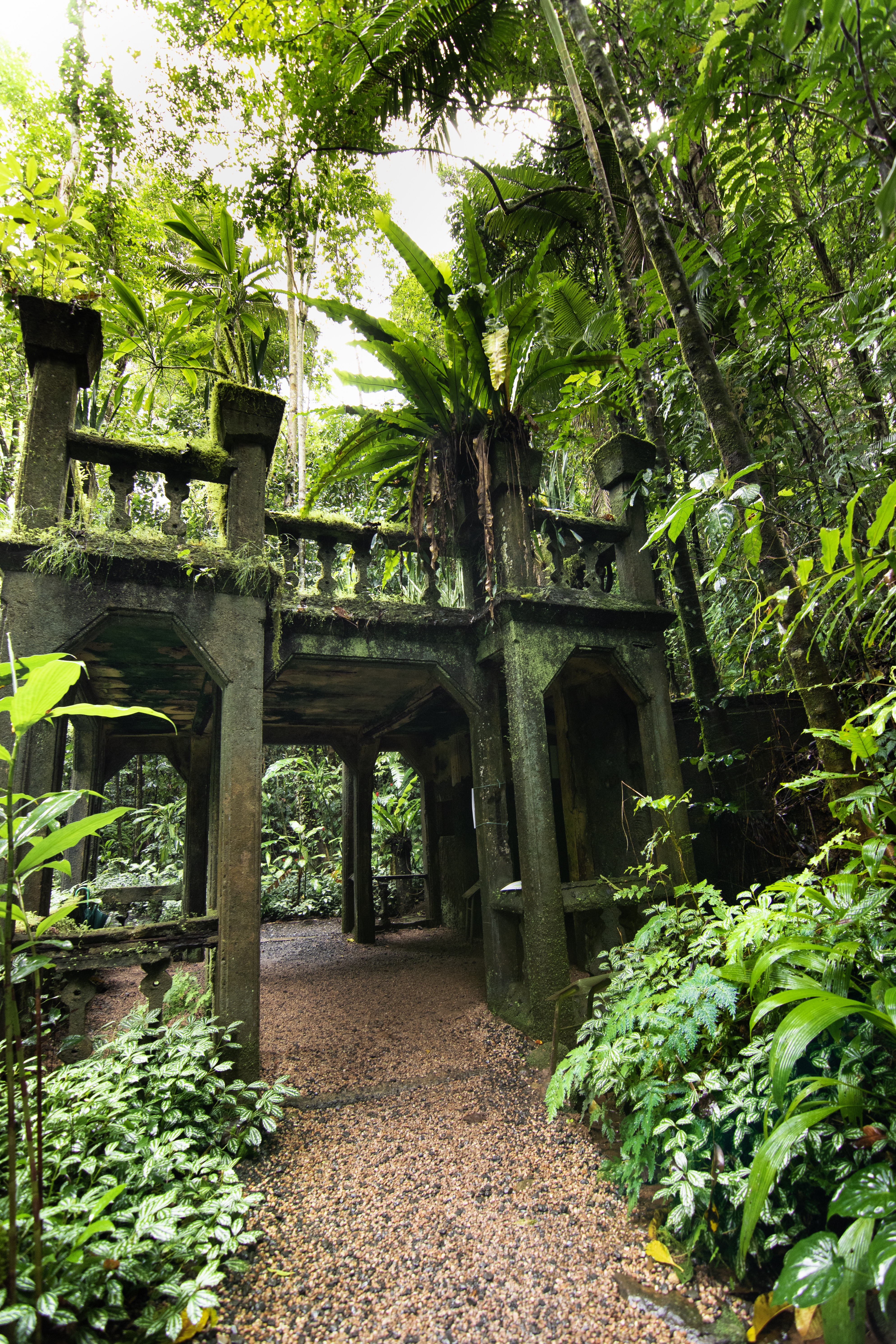 Castle ruins in the rainforest at Paronella Park