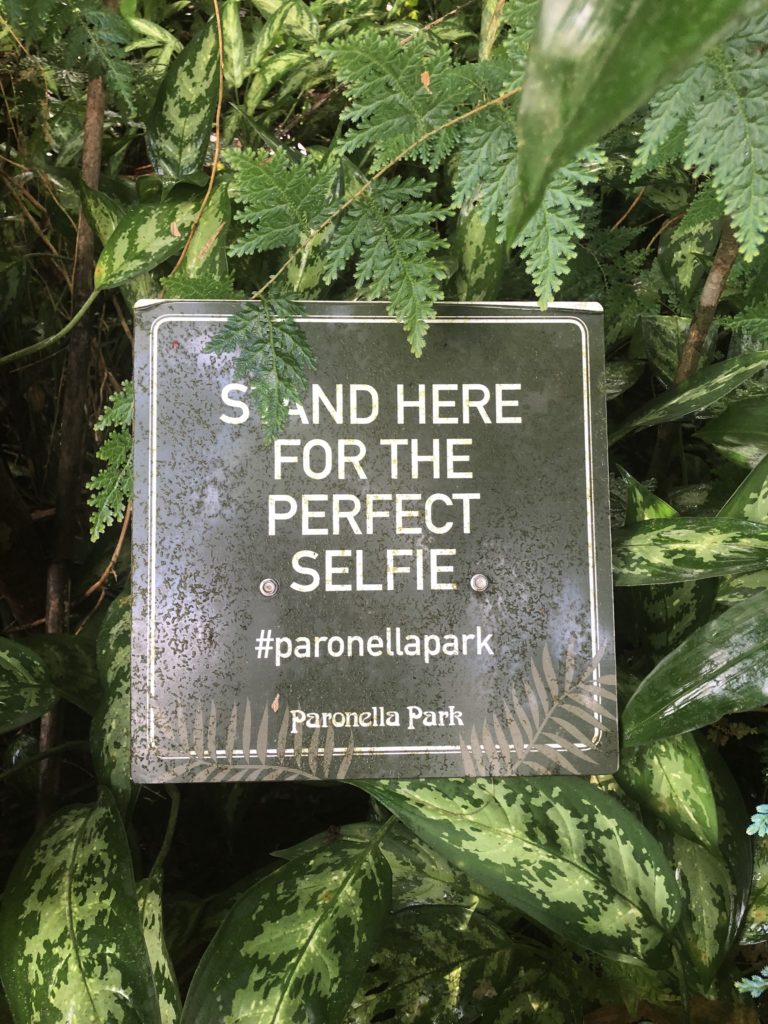 A sign saying "Stand here for the perfect selfie" situated amongst plants