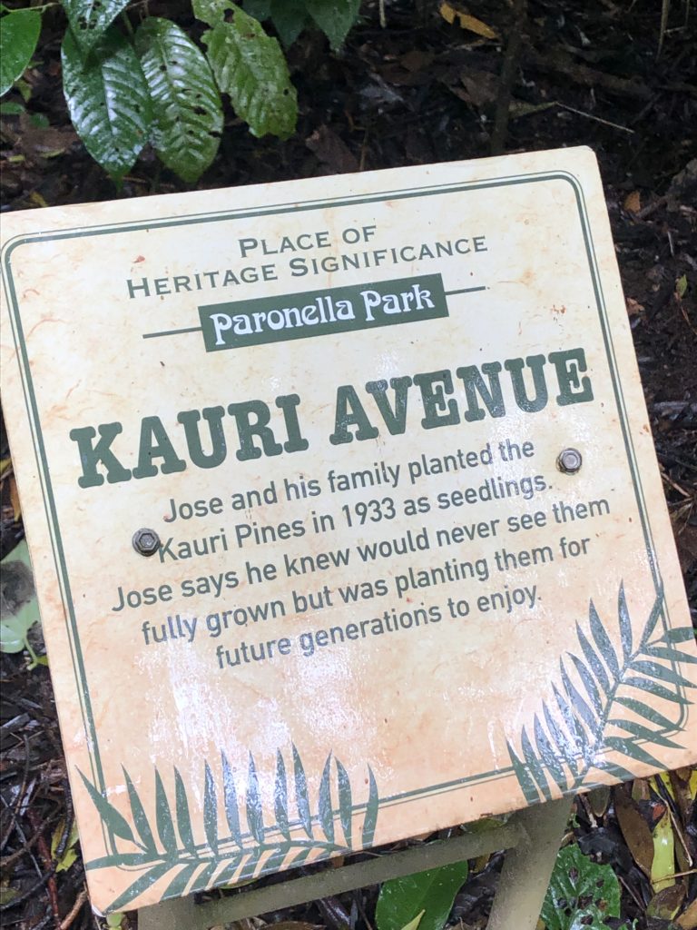 Sign that reads Kauri Avenue at Paronella park