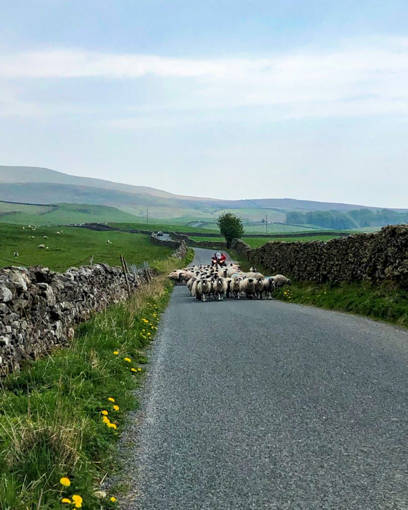 Exploring Settle in England