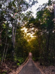 The 5 Best Hikes in Cairns - Sar…