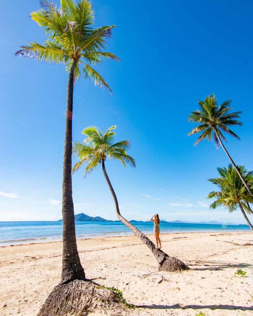 Mission Beach Instagram Locations Coconut palm trees Sarah Latham