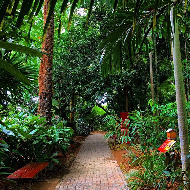 Sarah Latham Cairns Botanic Gardens