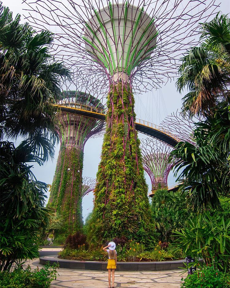 Gardens by the Bay Singapore Sarah Latham Bucket List Destinations