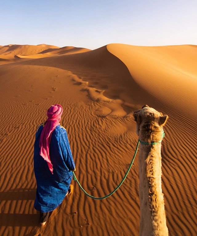 Sahara Desert Sarah Latham Morocco Camel