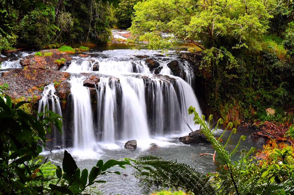Wallicher Falls Atherton Tablelands Cairns Sarah Latham