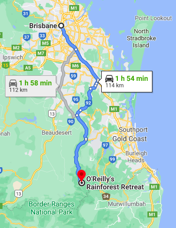 Brisbane to O'Reilly's Rainforest Retreat