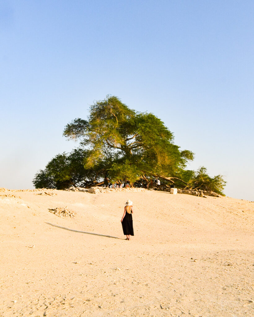 Tree of Life Bahrain Sarah Latham