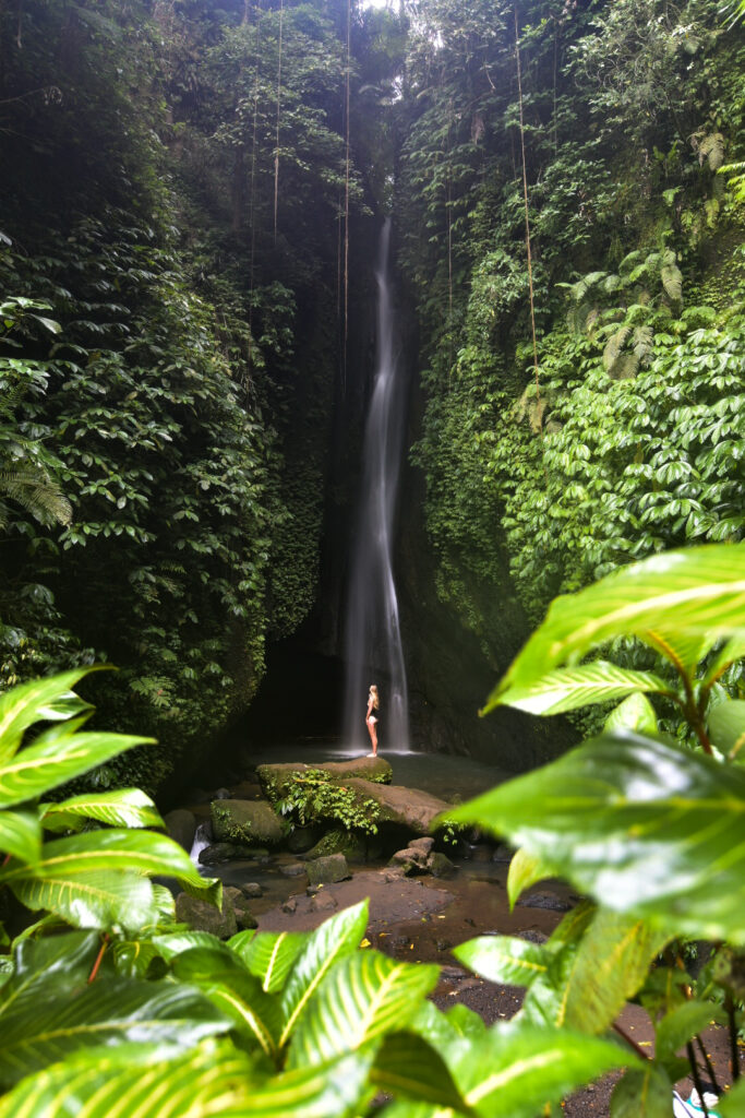 Leke Leke Waterfall from Ubud Sarah Latham