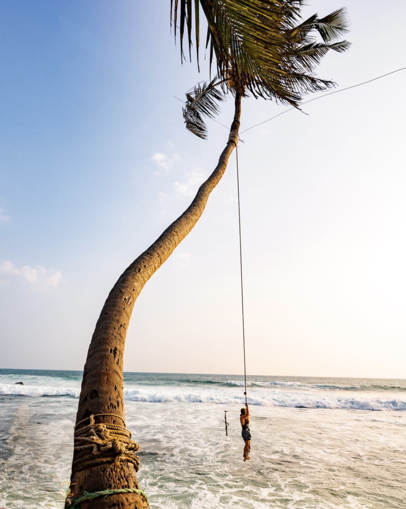 Dream Cabana Unawatuna Palm Tree Rope Swing Sarah Latham Copyright DO NOT USE