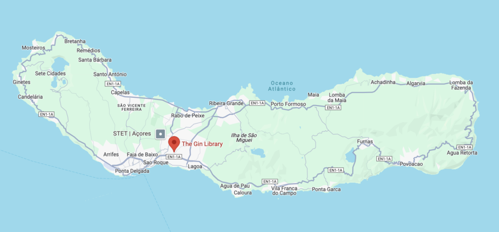 Google Maps screenshot of The Gin Library location