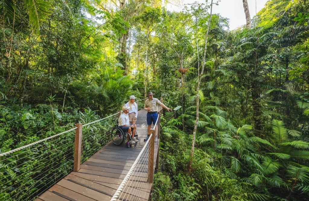 Skyrail Rainforest Cableway Accessible Cairns